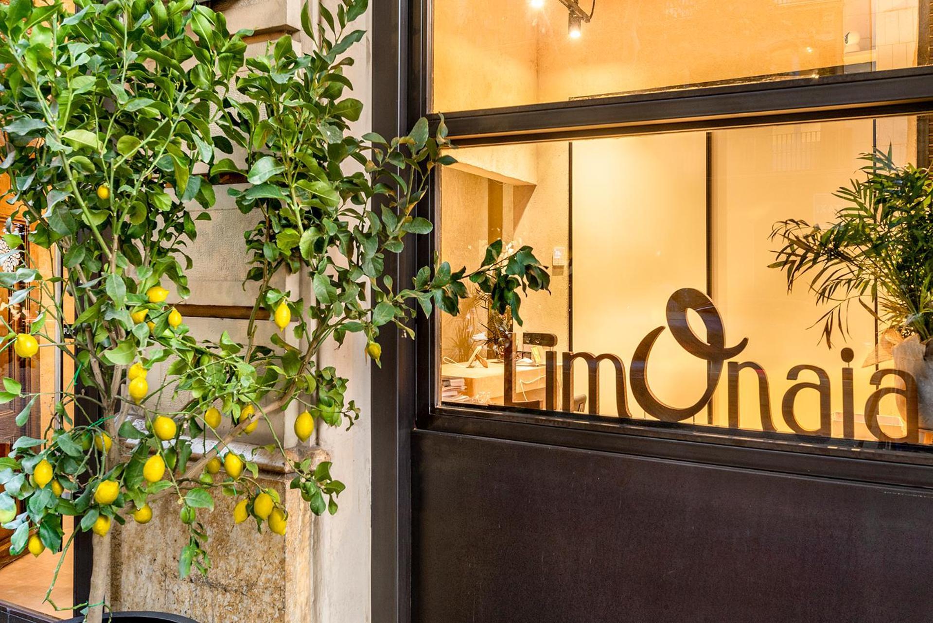 Limonaia Ξενοδοχείο Βαρκελώνη Εξωτερικό φωτογραφία